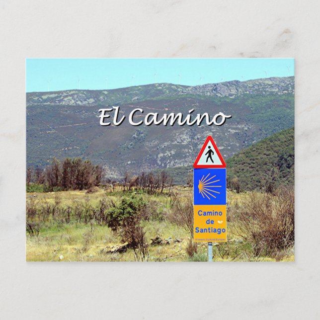 El Camino de Santiago sign (caption) Postcard (Front)