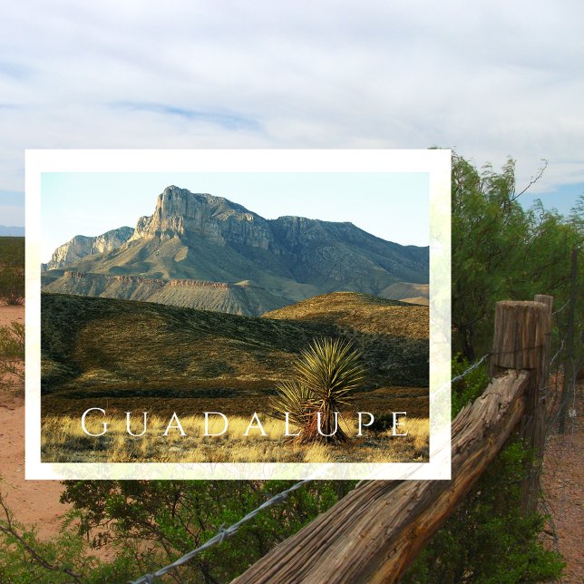El Capitan, Desert, Guadalupe Mountains NP, Texas Postcard (Creator Uploaded)