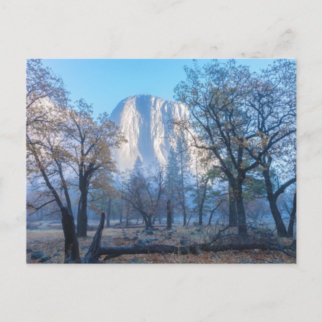 El Capitan Yosemite National Park Postcard (Front)
