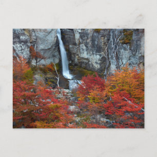 El Chorrillo Waterfall   Patagonia, Argentina Postcard