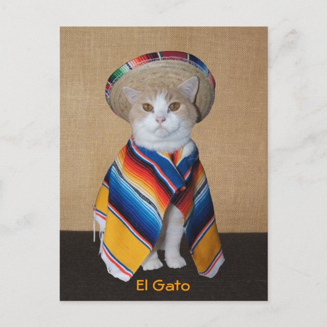 El Gato Cat in Sombrero and Serape Postcard (Front)