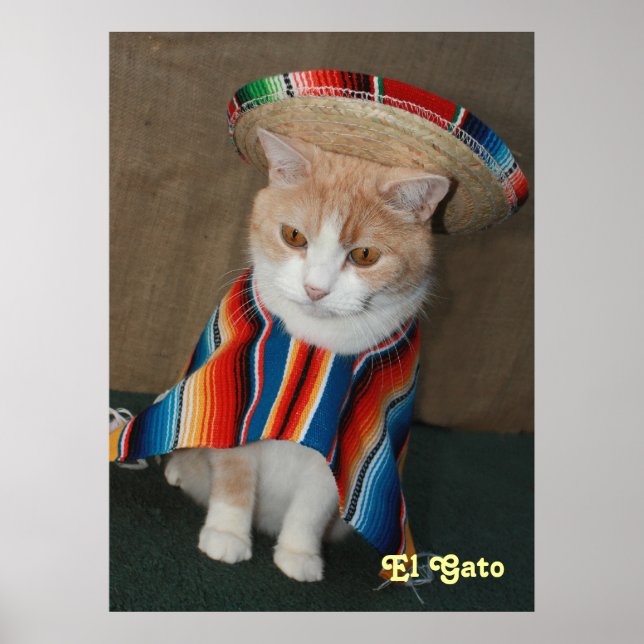 El Gato Poster (Front)