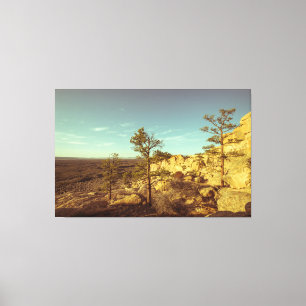 El Malpais National Monument Canvas Print