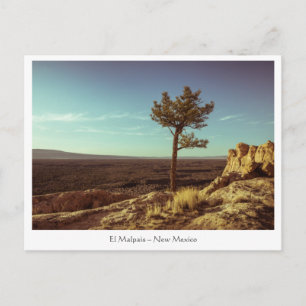 El Malpais National Monument Postcard