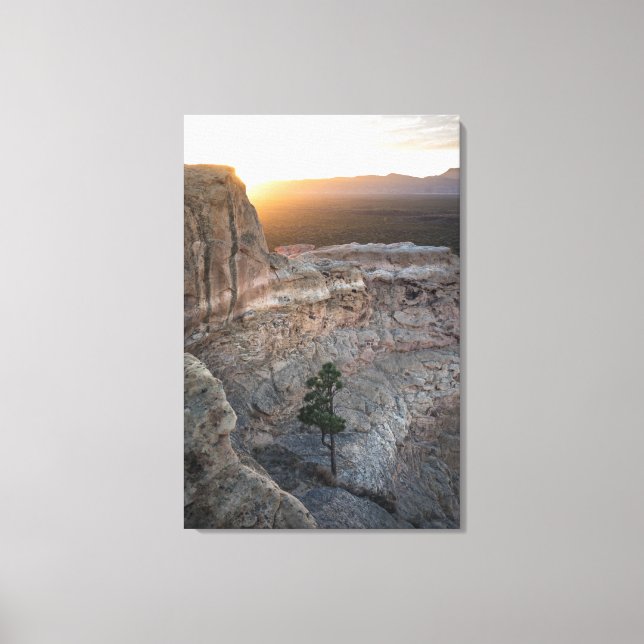 El Malpais Sandstone Bluffs Canvas Print (Front)