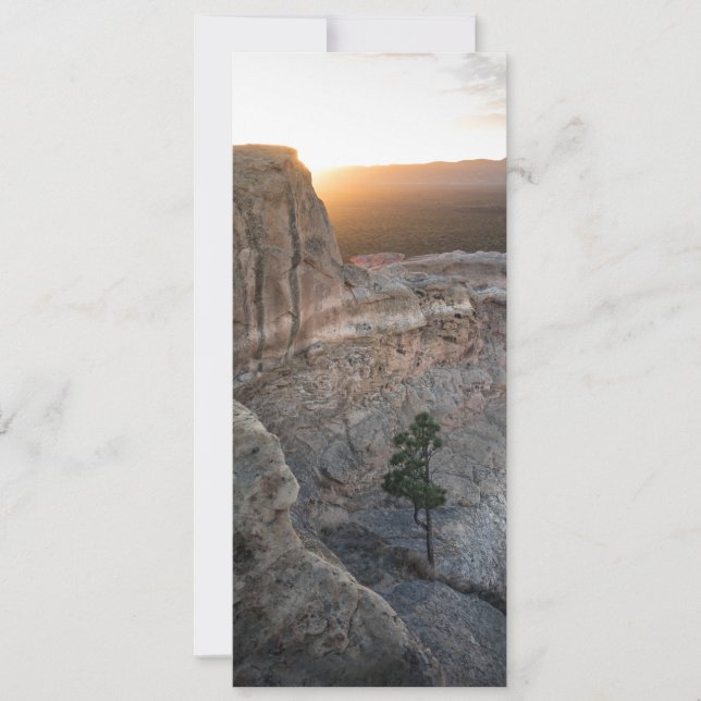 El Malpais Sandstone Bluffs Card (Front)