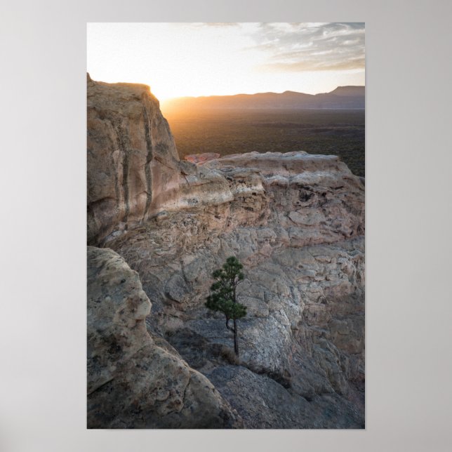 El Malpais Sandstone Bluffs Poster (Front)