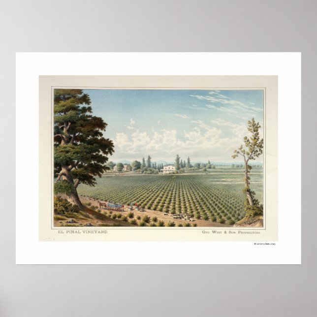 El Pinal Vineyard, San Joaquin County Poster (Front)