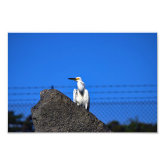 El Porto Manhattan Beach Photo Print