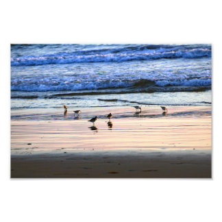 El Porto Manhattan Beach Photo Print
