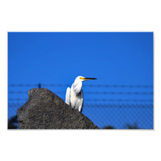 El Porto Manhattan Beach Photo Print