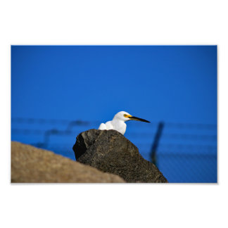El Porto Manhattan Beach Photo Print