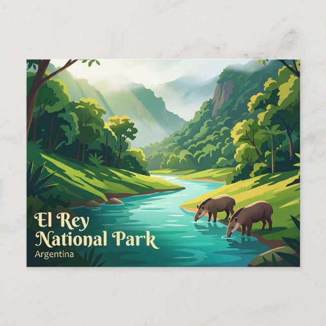 El Rey National Park Argentina Postcard (Front)