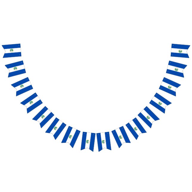 El Salvador flag bunting banner (All)