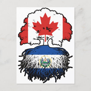 El Salvador Salvadoran Canadian Canada Tree Roots Postcard