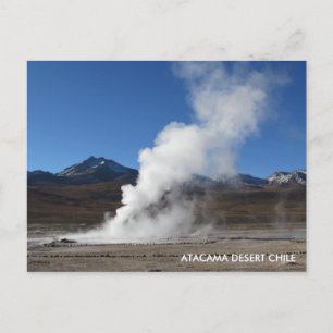 El Tatio Geyser, Atacama Desert, Chile Postcard