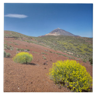 El Teide in Springtime Tile