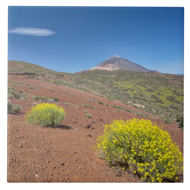 El Teide in Springtime Tile (Front)