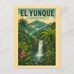 El Yunque National Forest Puerto Rico Illustration Postcard
