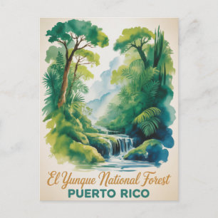 El Yunque National Forest Puerto Rico Nature Postcard