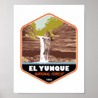 El Yunque National Forest Puerto Rico Vintage