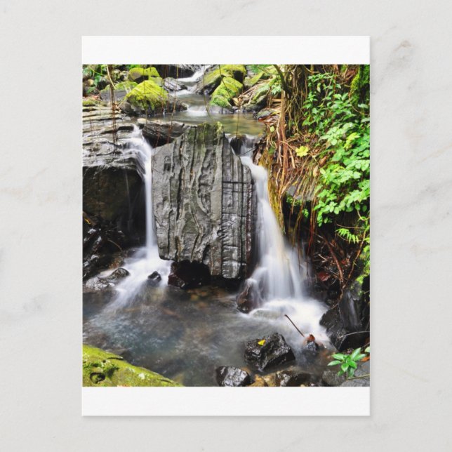 El Yunque Waterfall Postcard (Front)