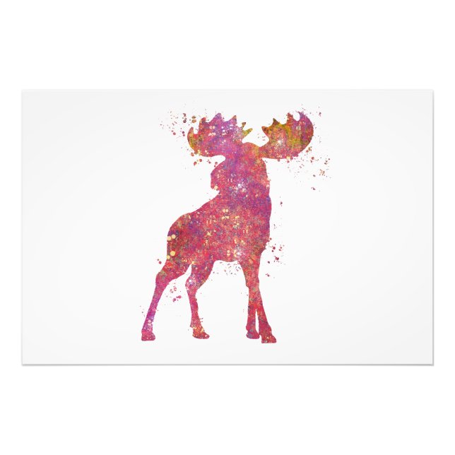 Elan Animal Forest Wild Wildlife Nature World Eart Photo Print (Front)