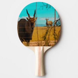 Eland Antelope Animal South Africa ZA Ping Pong Paddle