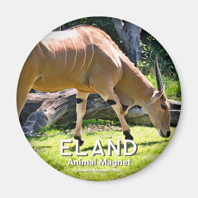Eland Magnet (Front)