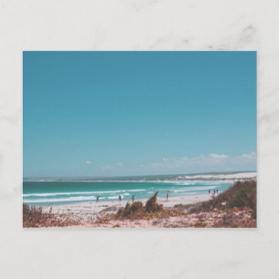 Elands Bay South Africa Surf Surfing Postcard