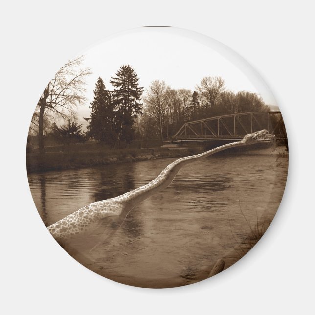 Elasmosaurus Gifts Magnet (Front)
