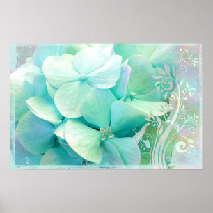 Elation, Mint, Aqua Hydrangea Poster