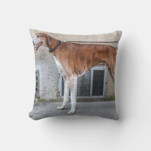 Elder Brindle Greyhound Cushion
