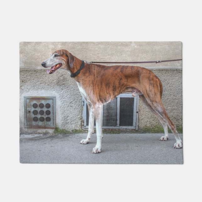 Elder Brindle Greyhound Doormat (Front)