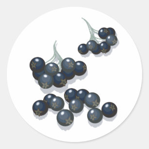 elderberries classic round sticker
