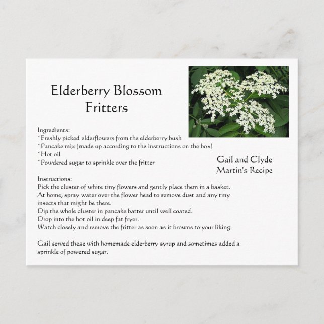 Elderberry Blossom Fritters Postcard (Front)