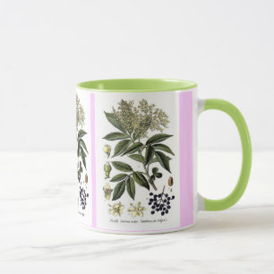 Elderberry Sambucus mug
