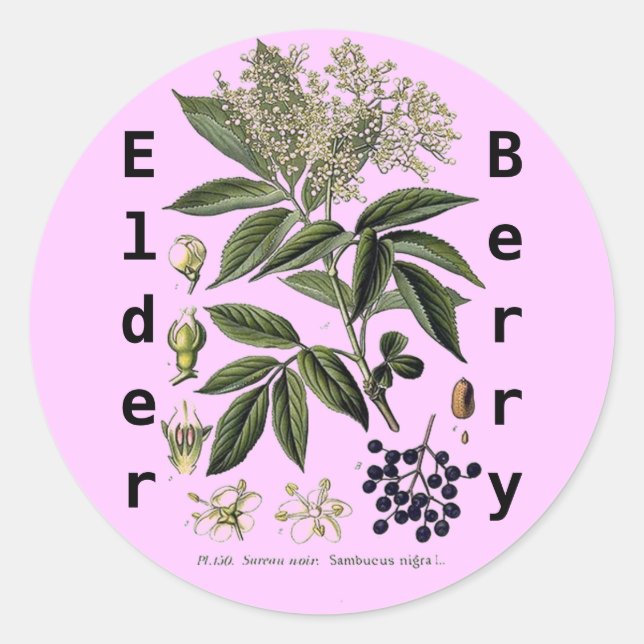 Elderberry Sambucus sticker (Front)