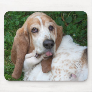 Elderly Basset Mouse Pad