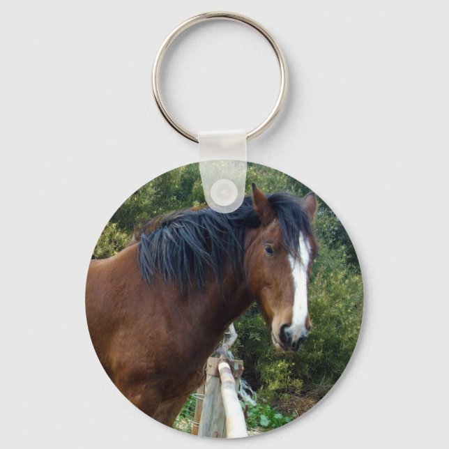 Elderly Clydesdale Horse, Key Ring (Front)