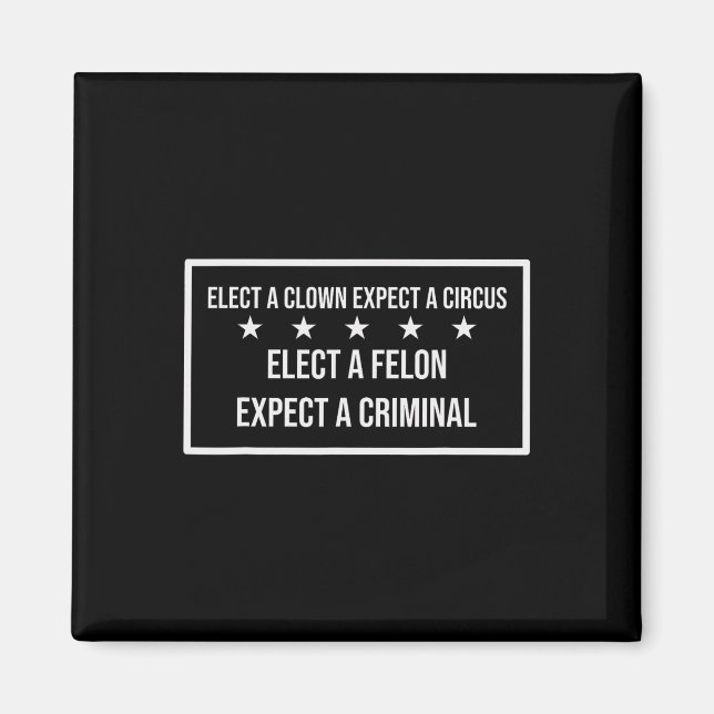 Elect A Felon Expect A Criminal Elect Clown Expect Magnet (Front)