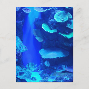 Electric Blue Fish Postcard