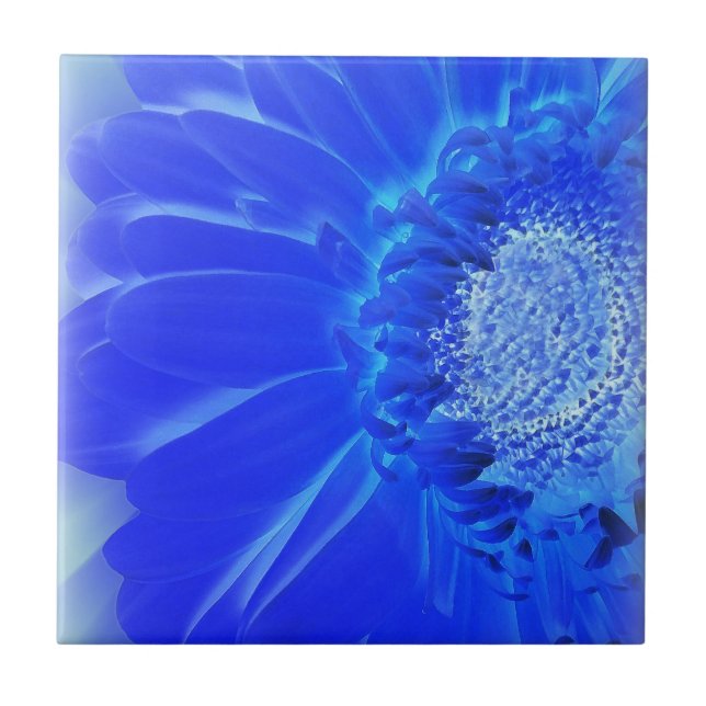electric blue gerbera tile (Front)