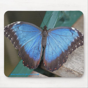 Electric Blue Mousemat