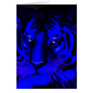 Electric Blue Tiger