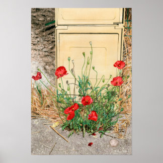 Electric box poppy poster
