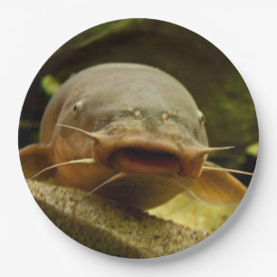 Electric catfish paper plate