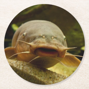 Electric catfish round paper coaster