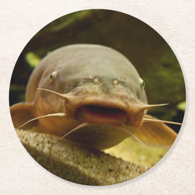 Electric catfish round paper coaster (Front)