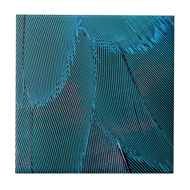 electric feathers tile (Front)